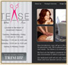 Tease Hair Salon Website